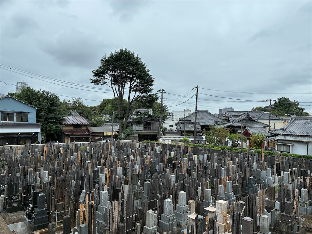 f:id:TokuheiKumagai:20260829175833j:image