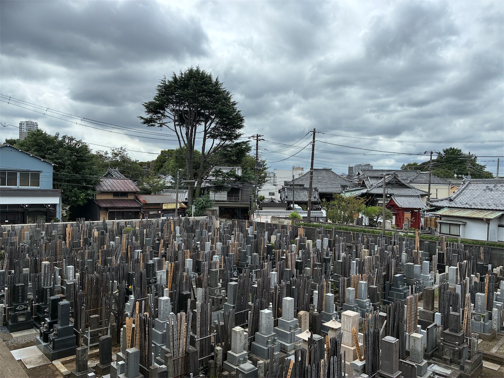 f:id:TokuheiKumagai:20260901200135j:image