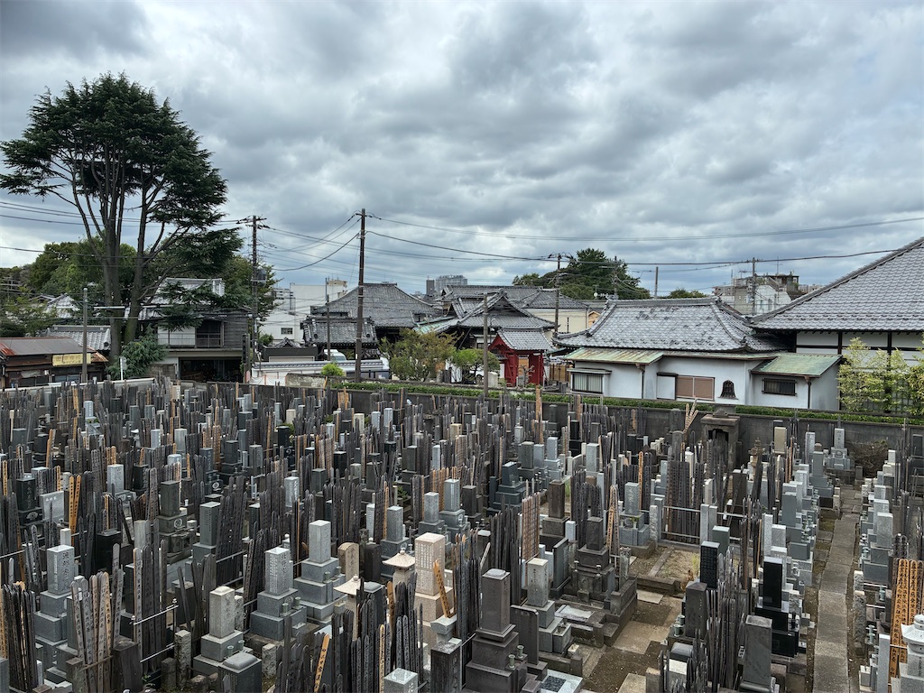 f:id:TokuheiKumagai:20260901200148j:image