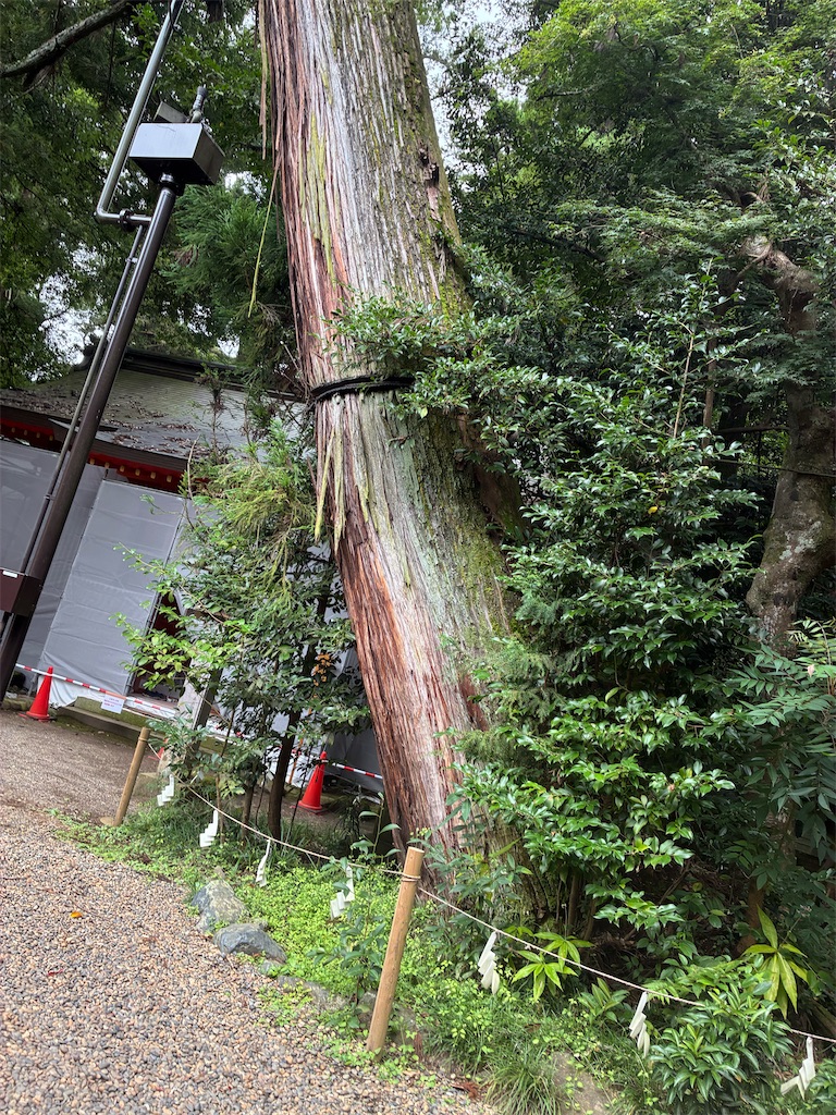 f:id:TokuheiKumagai:20260902101729j:image