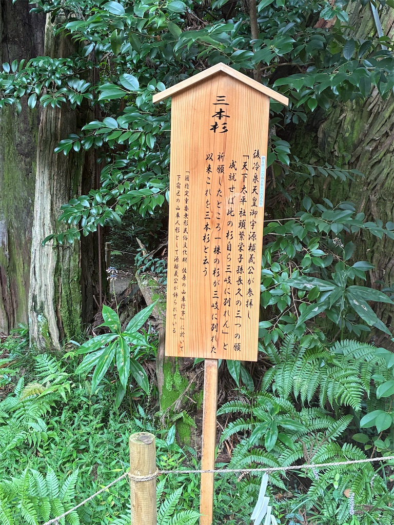 f:id:TokuheiKumagai:20260902101734j:image