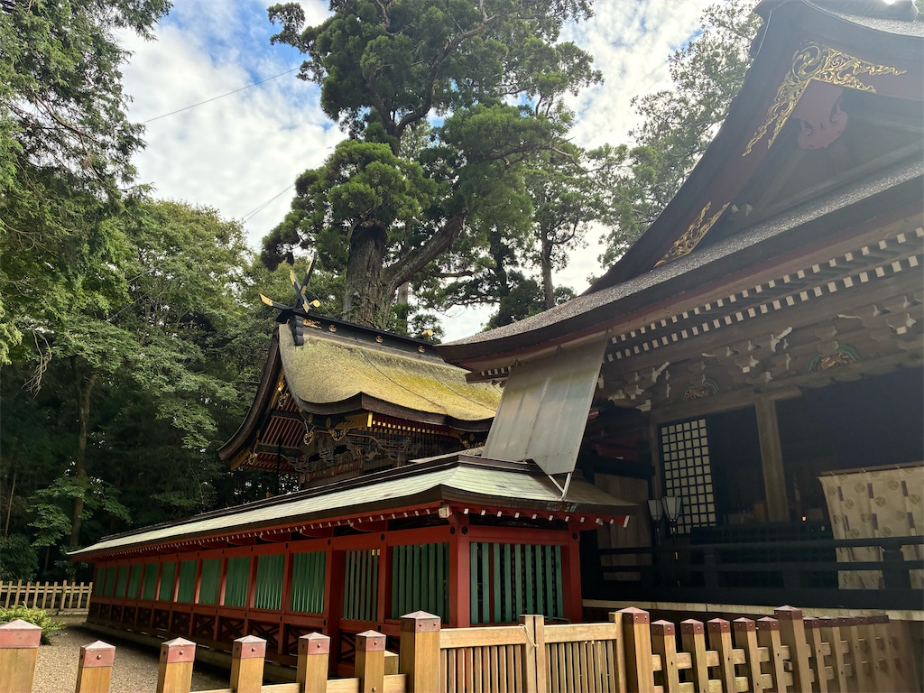 f:id:TokuheiKumagai:20260902212952j:image
