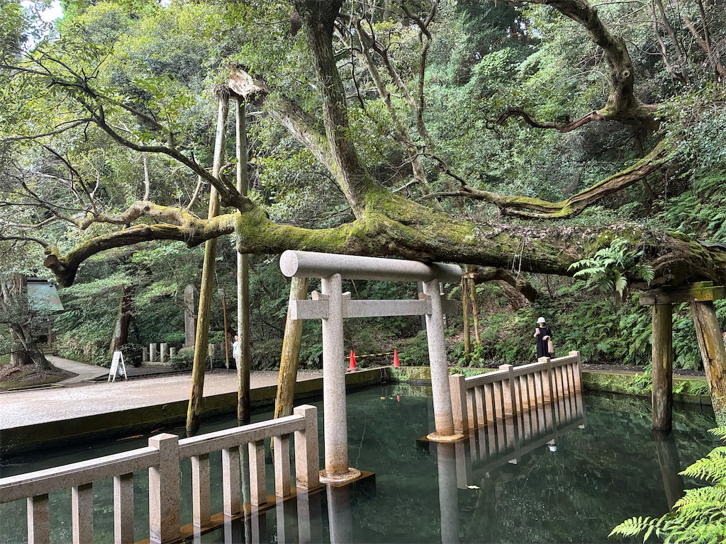 f:id:TokuheiKumagai:20260902212958j:image