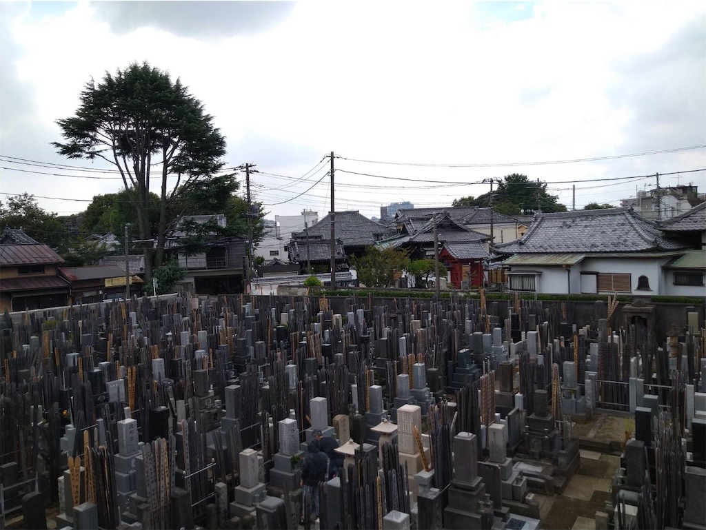 f:id:TokuheiKumagai:20260902220530j:image