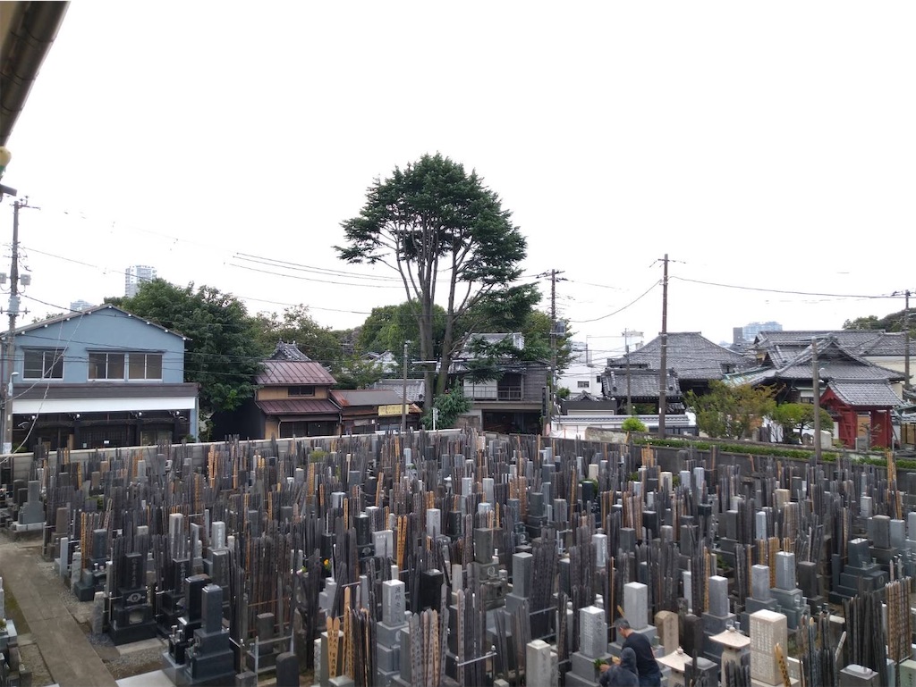 f:id:TokuheiKumagai:20260902220533j:image