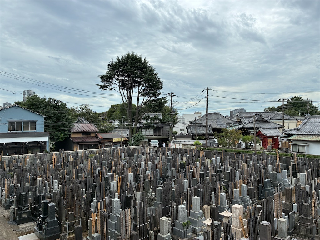 f:id:TokuheiKumagai:20260903235657j:image