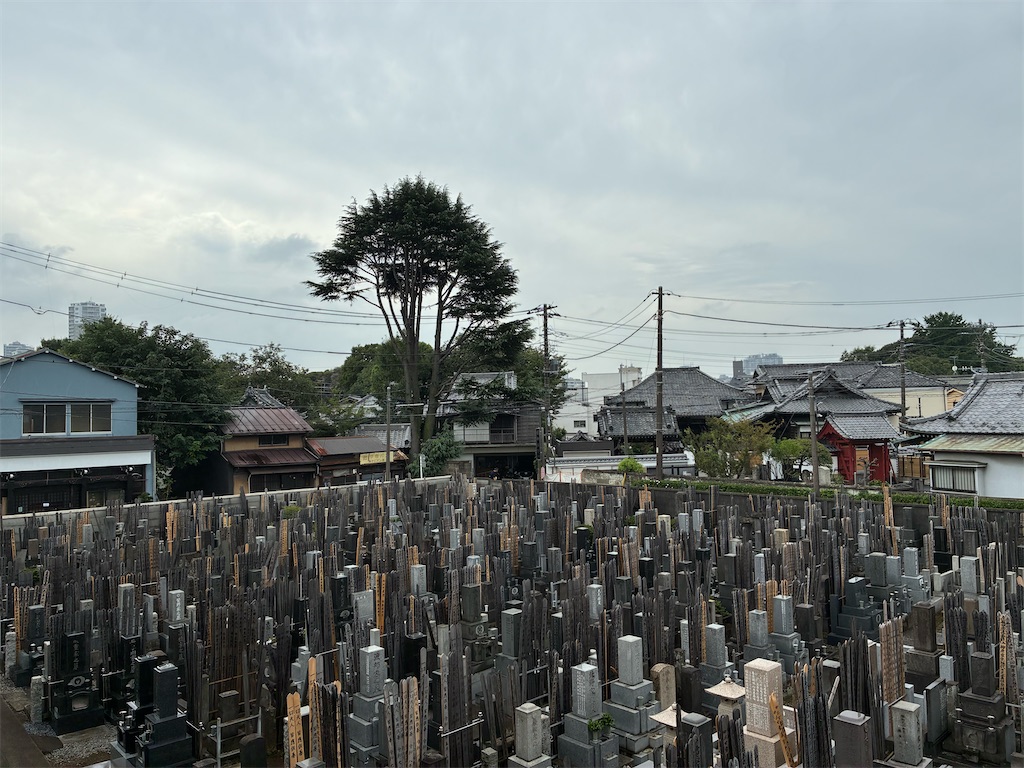 f:id:TokuheiKumagai:20260904175936j:image