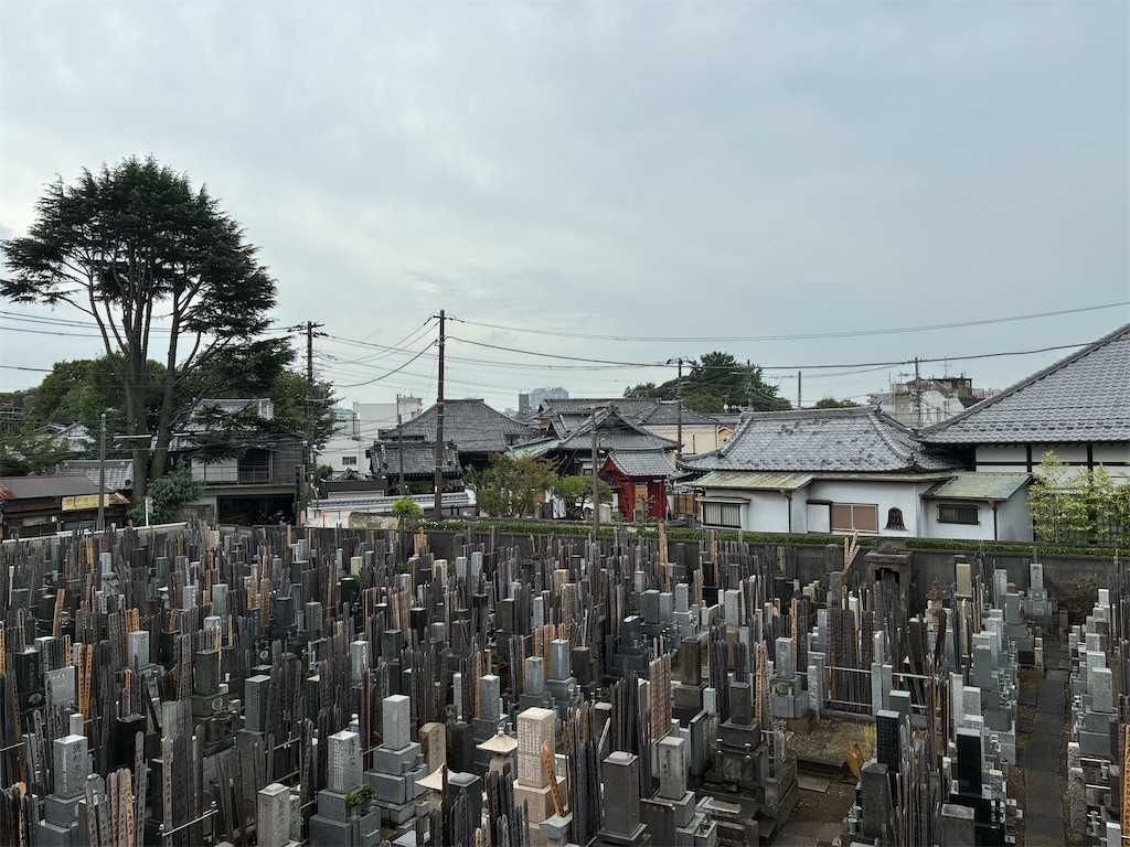f:id:TokuheiKumagai:20260904175939j:image