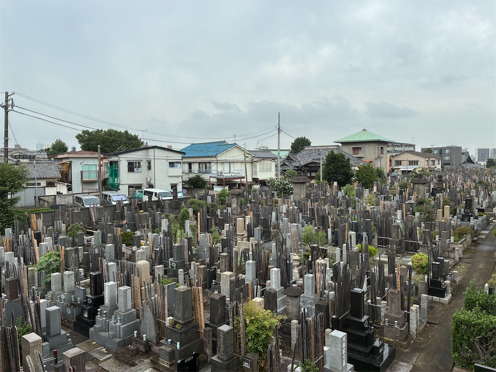 f:id:TokuheiKumagai:20260904175946j:image