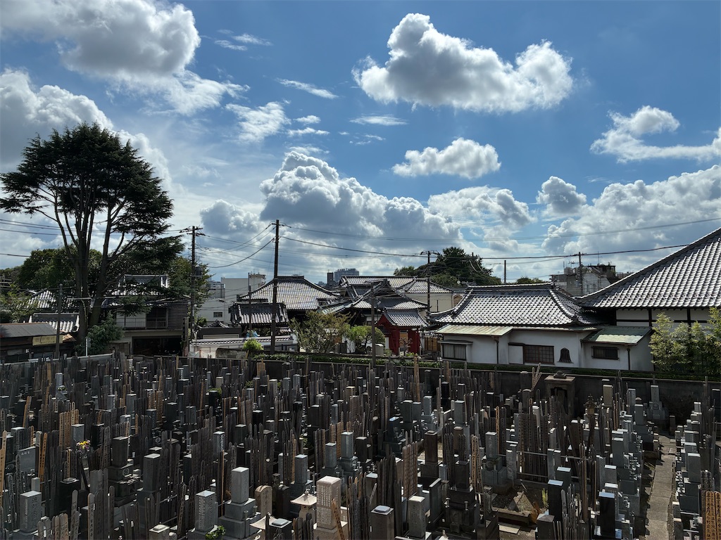 f:id:TokuheiKumagai:20260905172201j:image