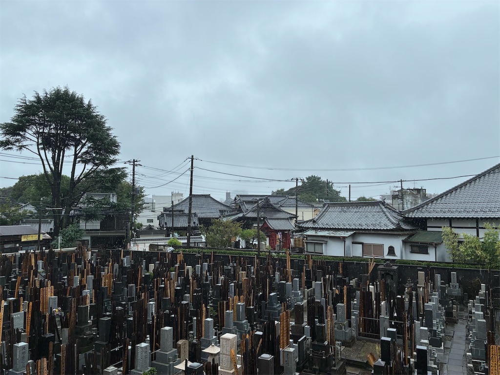 f:id:TokuheiKumagai:20260906135030j:image
