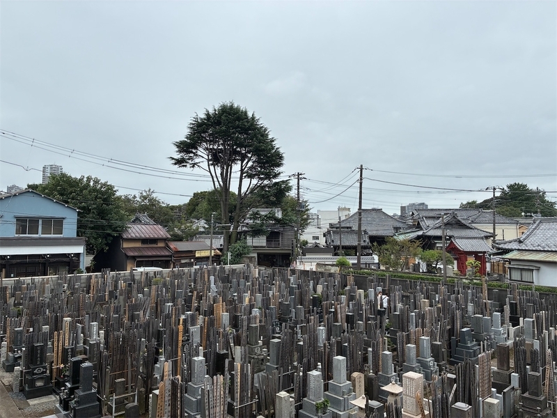 f:id:TokuheiKumagai:20260919210523j:image