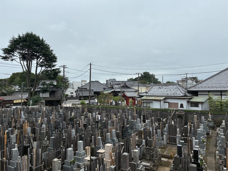 f:id:TokuheiKumagai:20260919210525j:image