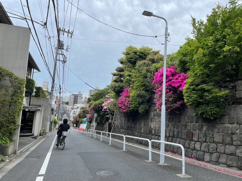 f:id:TokuheiKumagai:20260919210751j:image
