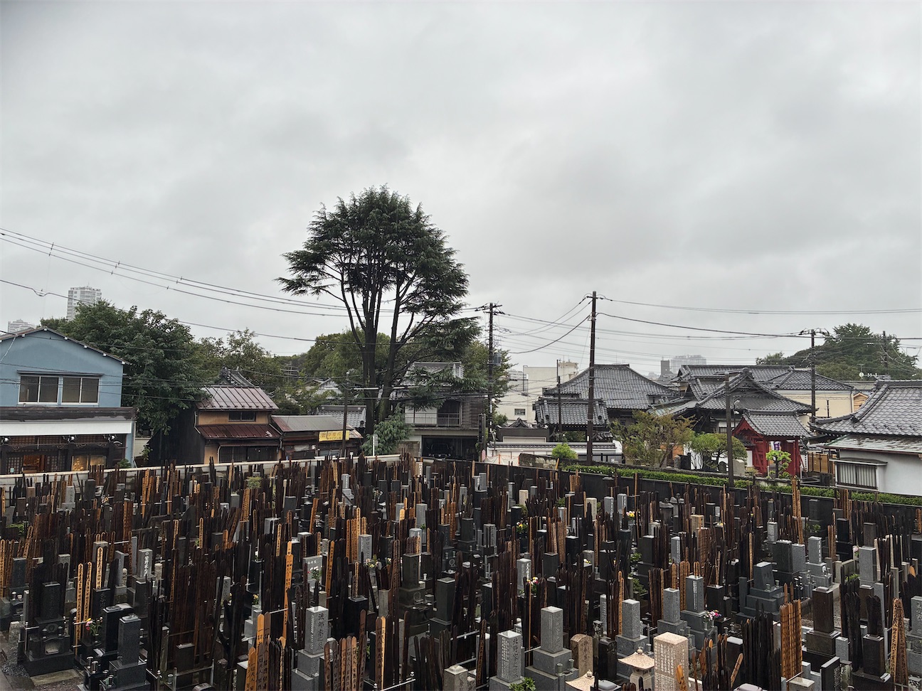 f:id:TokuheiKumagai:20260920191834j:image