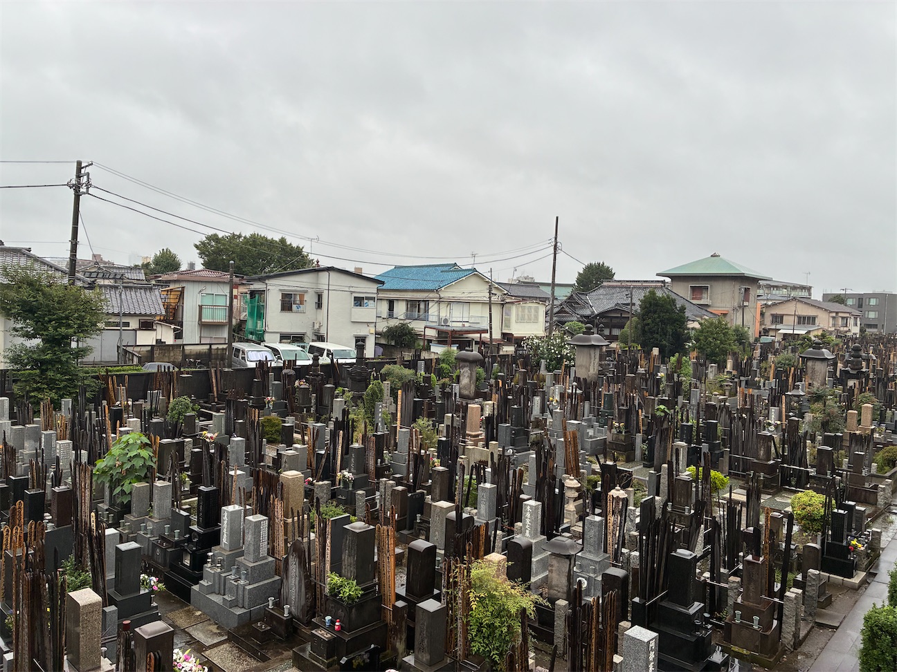 f:id:TokuheiKumagai:20260920191838j:image