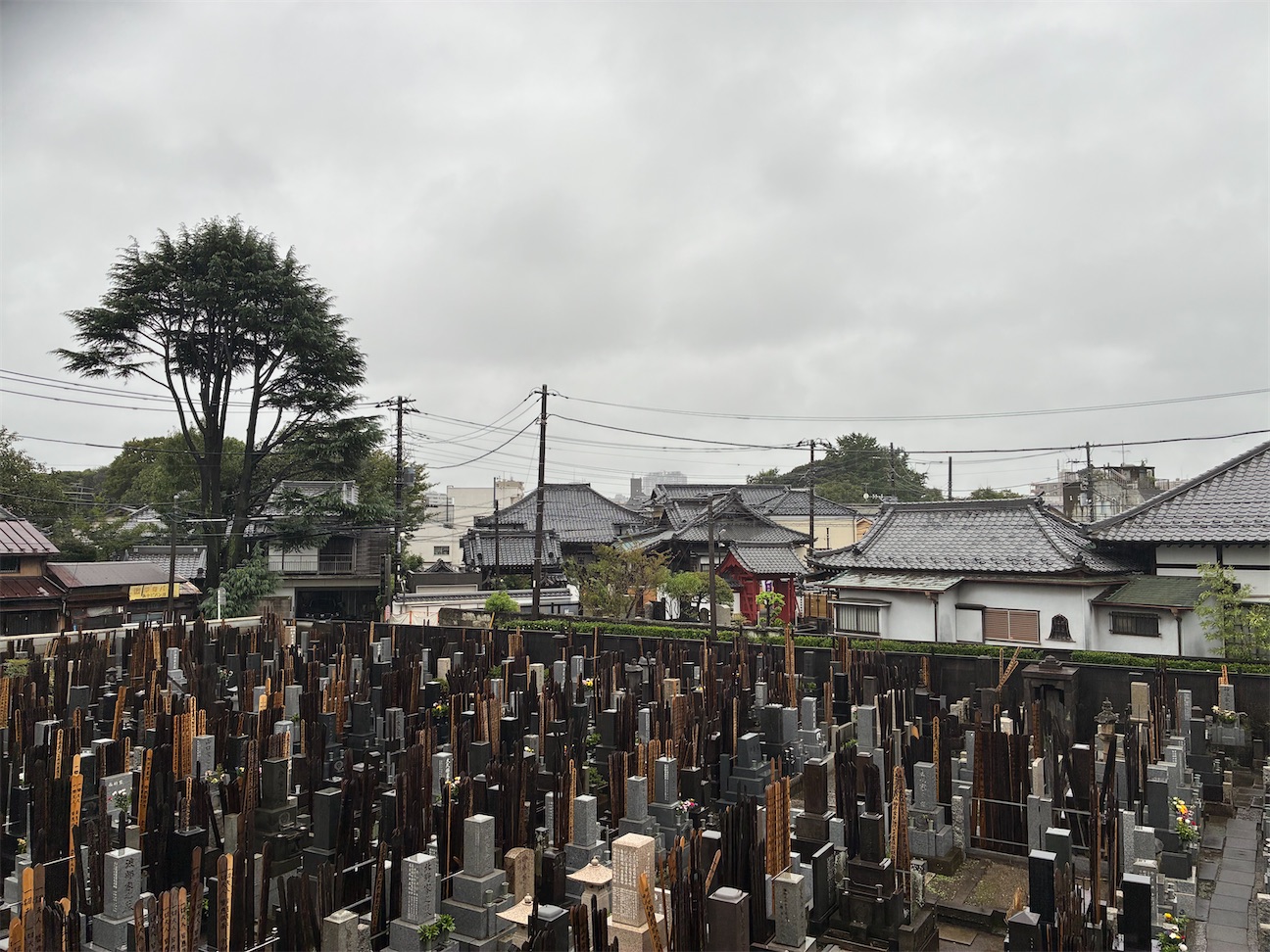 f:id:TokuheiKumagai:20260920191844j:image