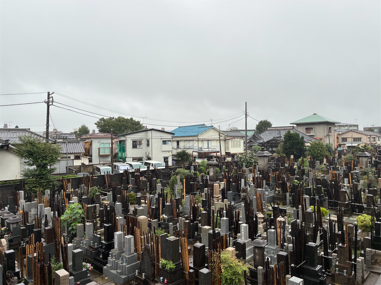 f:id:TokuheiKumagai:20260921145520j:image