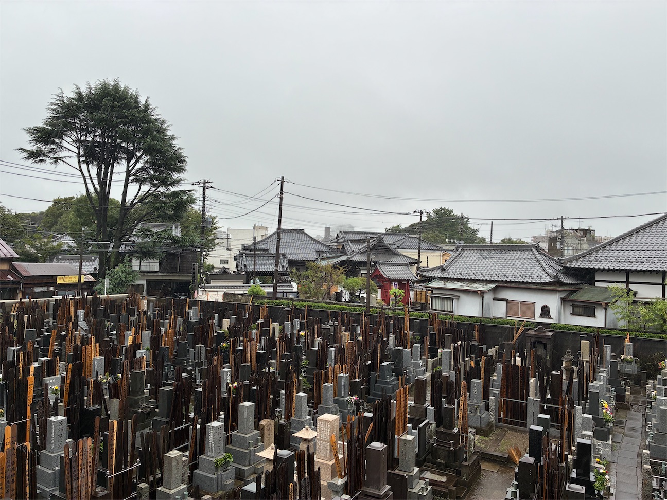 f:id:TokuheiKumagai:20260921145521j:image