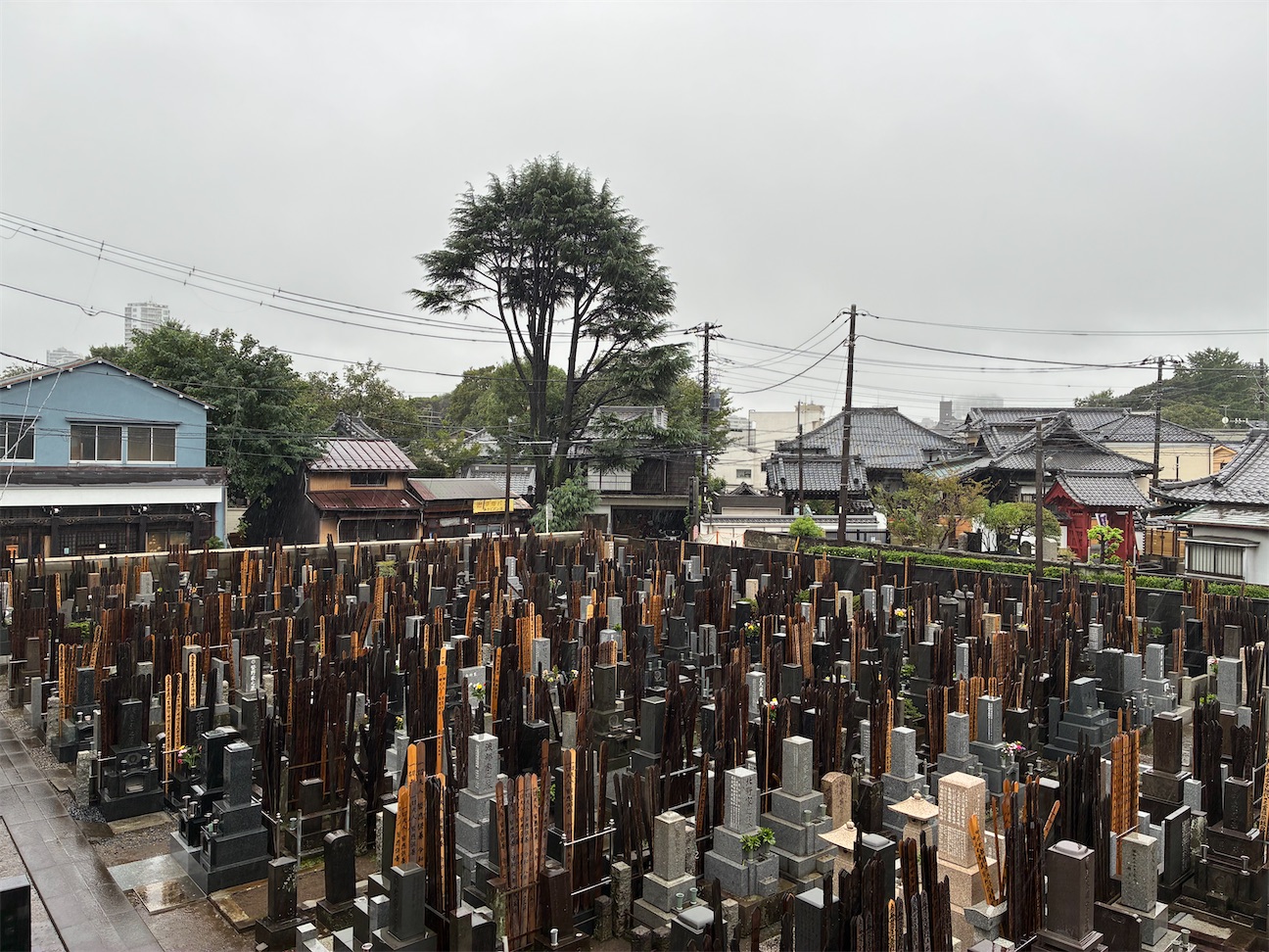 f:id:TokuheiKumagai:20260921145522j:image