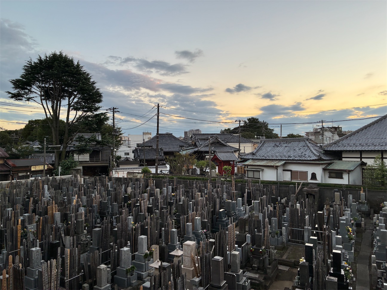 f:id:TokuheiKumagai:20260922173853j:image