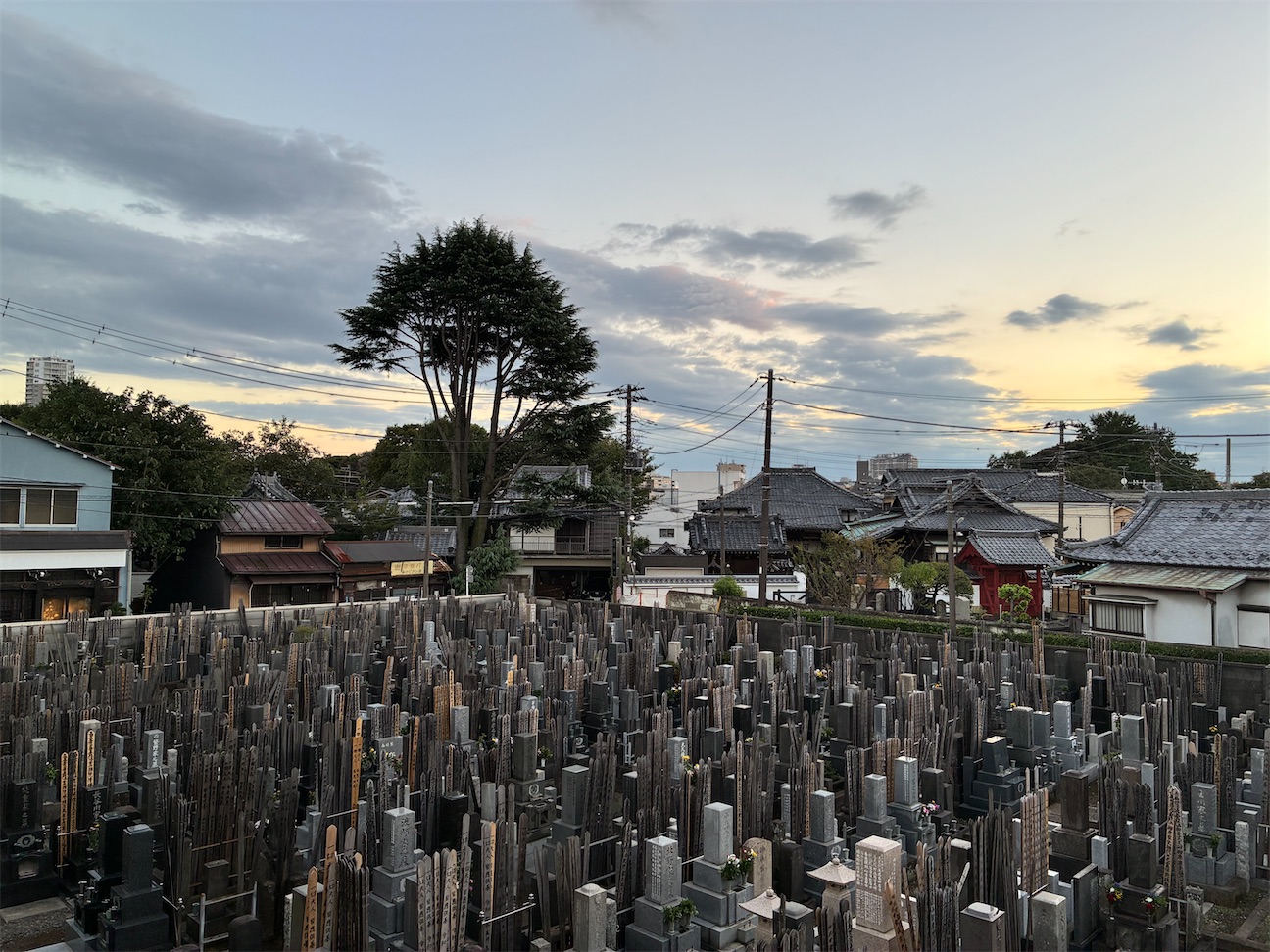f:id:TokuheiKumagai:20260922173910j:image