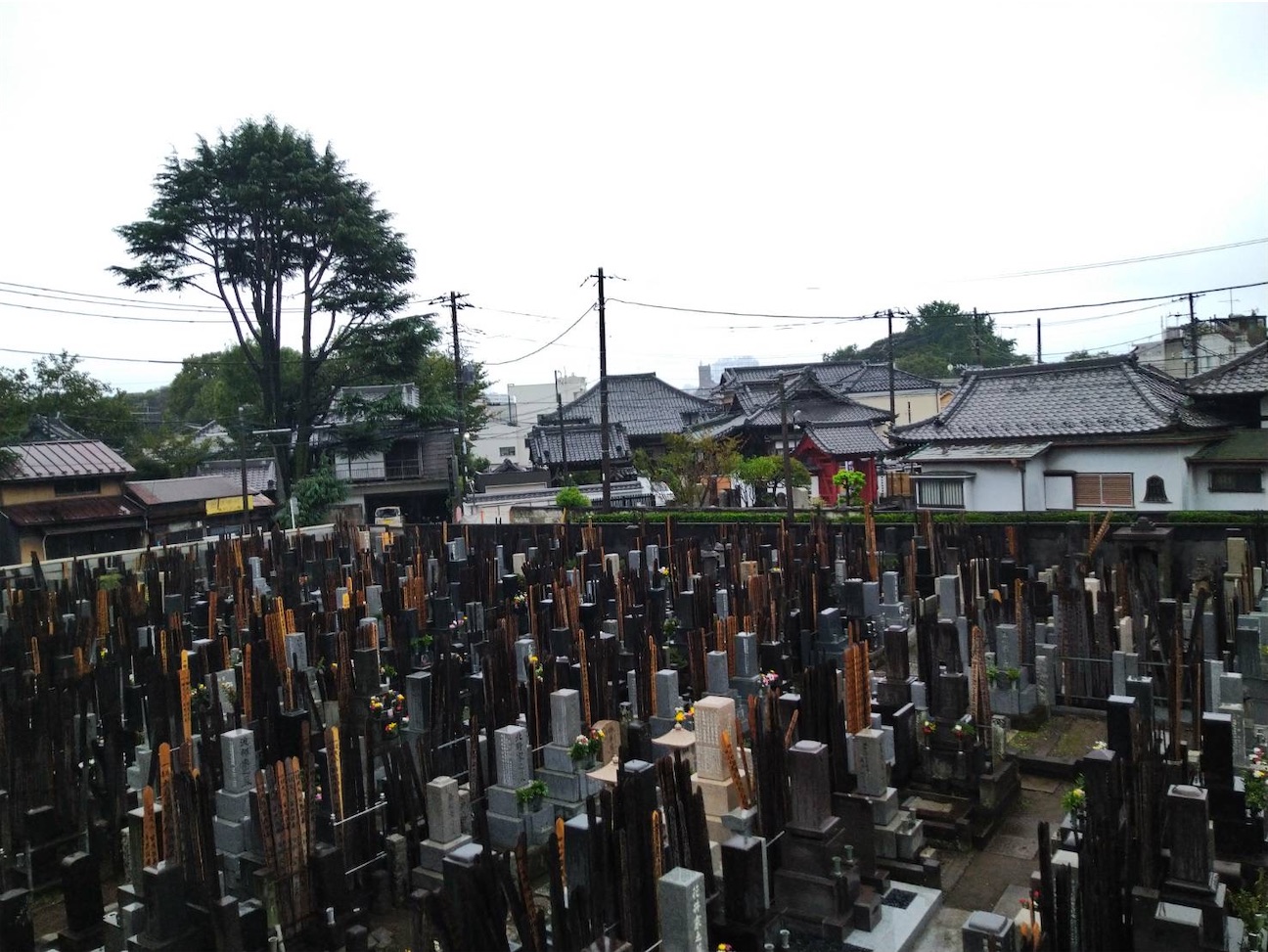 f:id:TokuheiKumagai:20260923221054j:image
