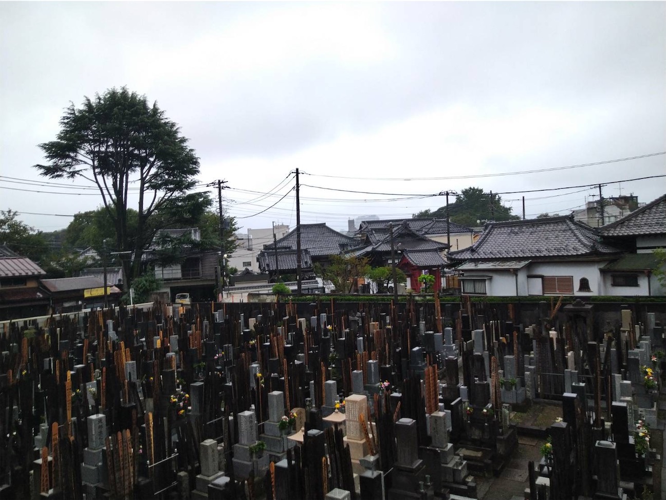f:id:TokuheiKumagai:20260923221055j:image