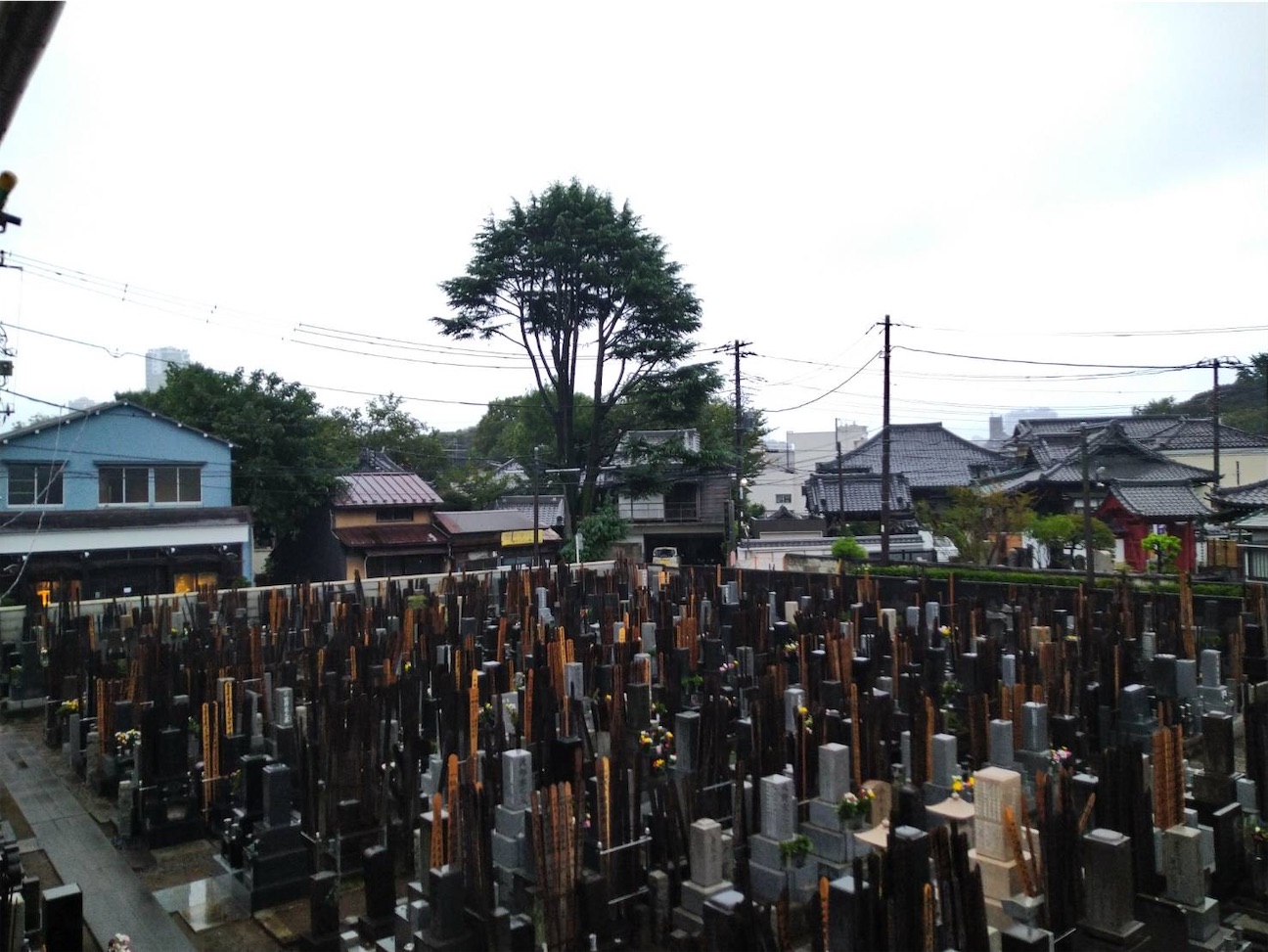 f:id:TokuheiKumagai:20260923221056j:image