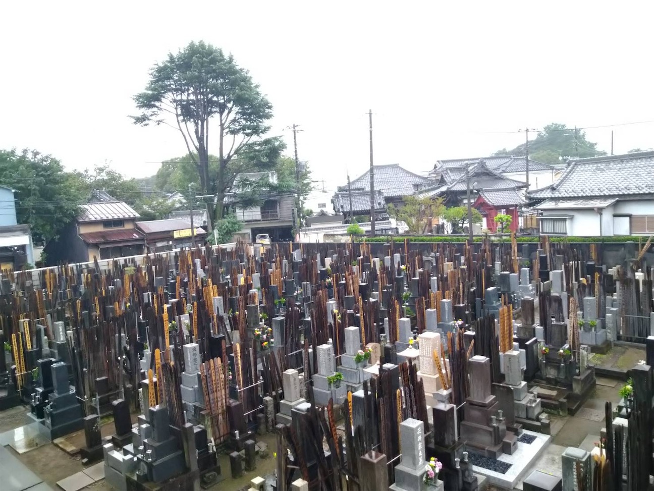 f:id:TokuheiKumagai:20260923221057j:image