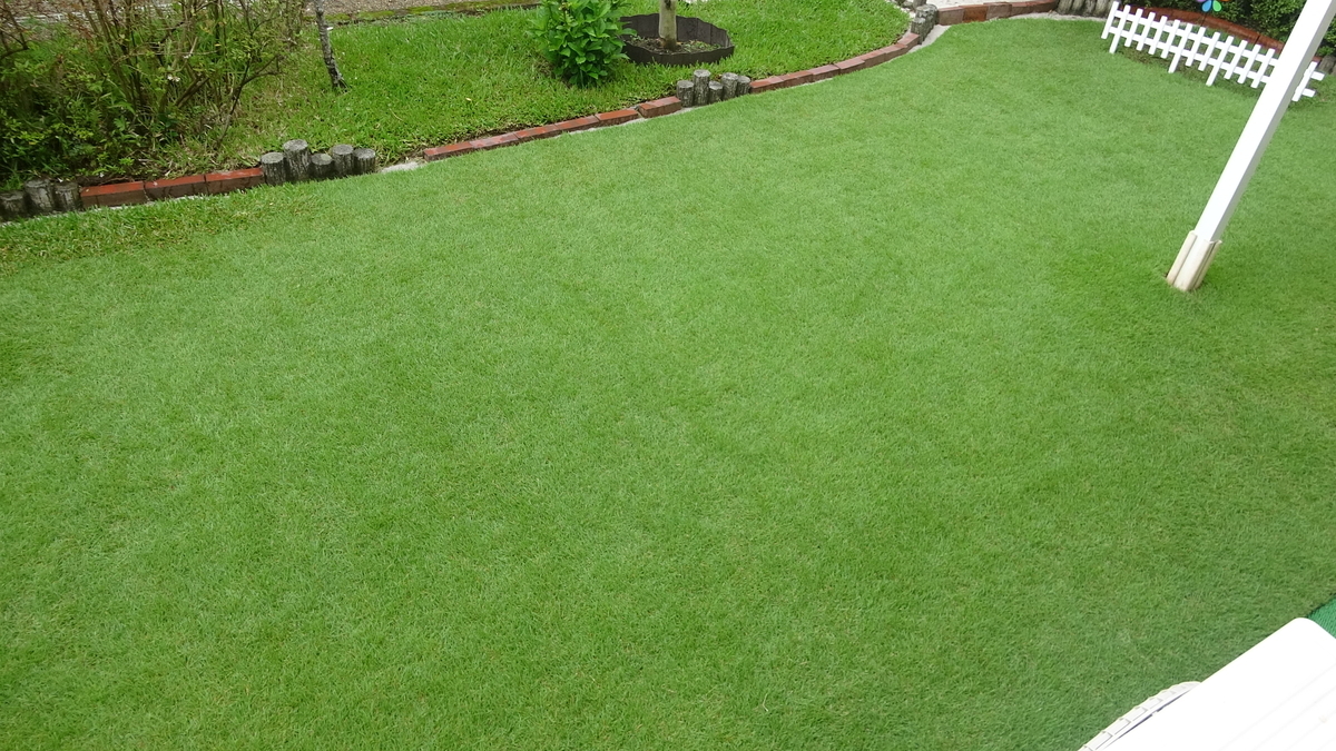 夏の終わり 弱った芝生は病害に注意 これまでの手入れと芝の基礎体力の関係 東京40まいる 家庭芝生の雑学