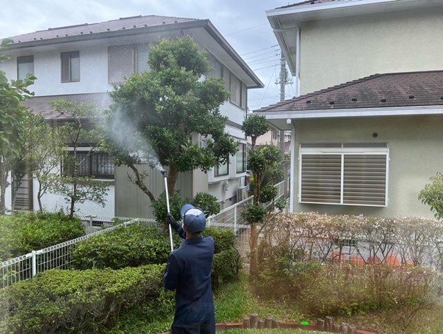 庭木の地域一斉消毒 殺菌剤オーソサイドと殺虫剤スミチオン - 芝生の雑学 東京40まいる