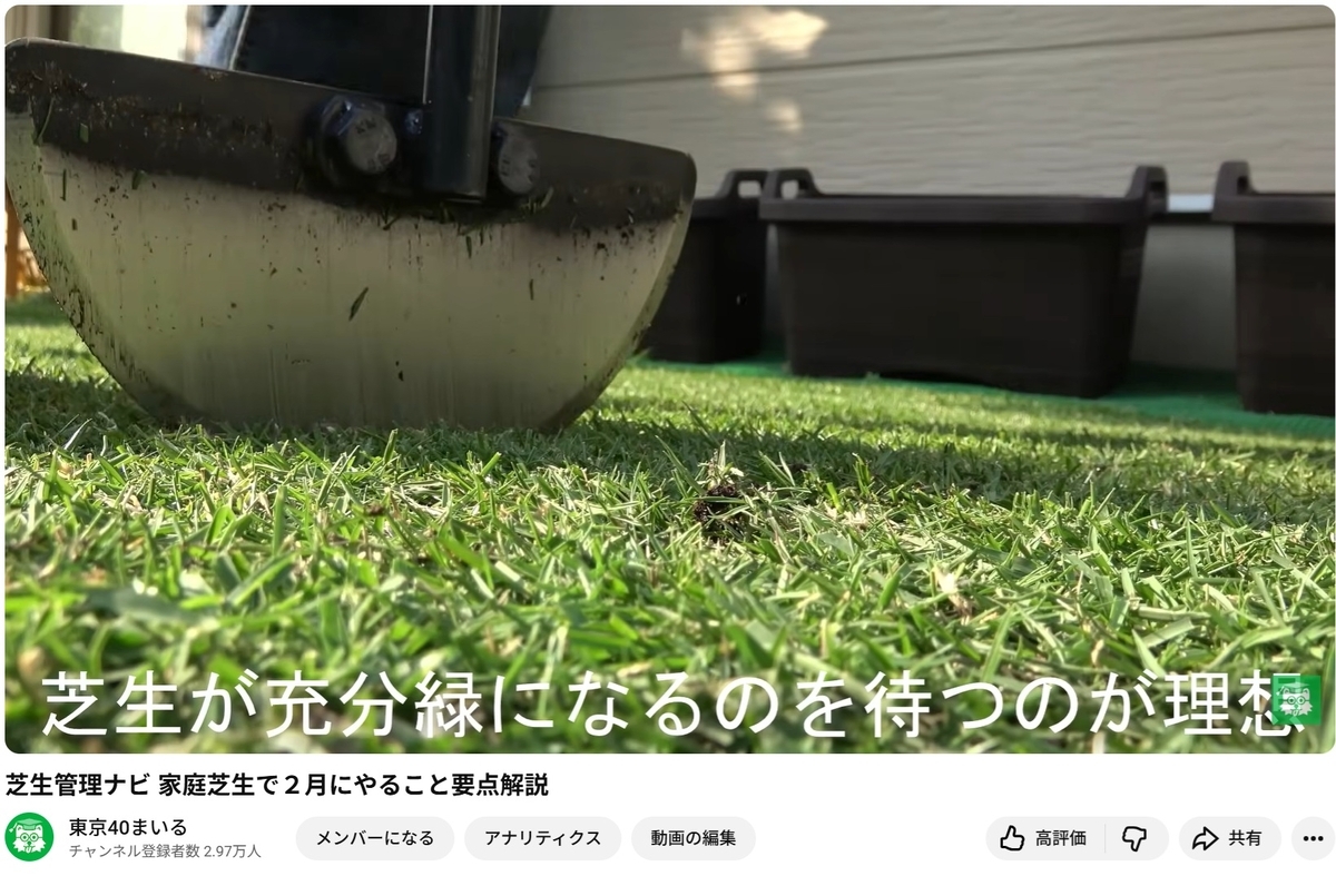 2月の芝生の手入れ ― 芝が目覚める時期の基礎知識 ― やる？やらない