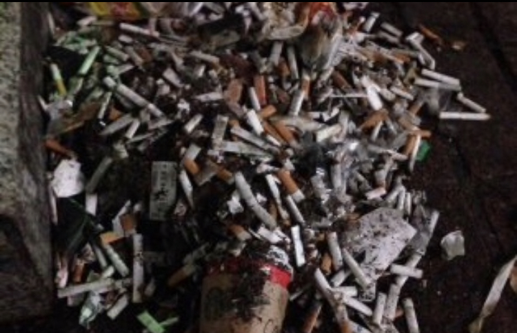 f:id:Tokyoshinbun:20190313130448j:plain