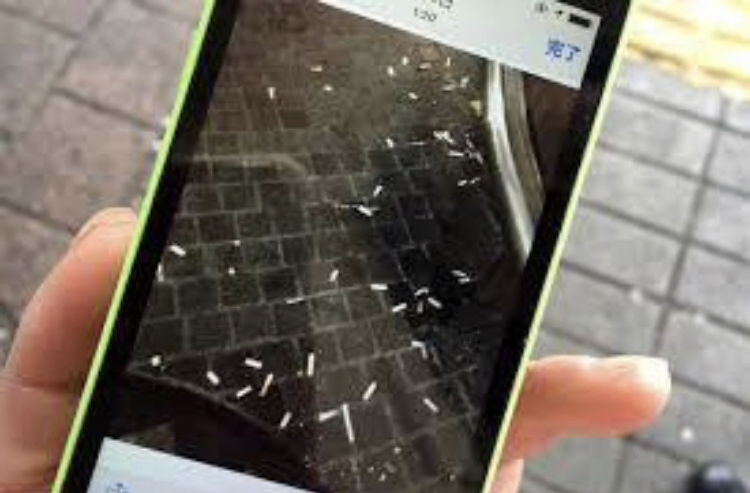 f:id:Tokyoshinbun:20190313130611j:plain