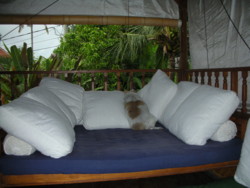f:id:Tom-3:20081124173929j:image f:id:Tom-3:20081124173929j:image