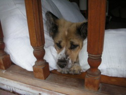 f:id:Tom-3:20081124174329j:image f:id:Tom-3:20081124174329j:image