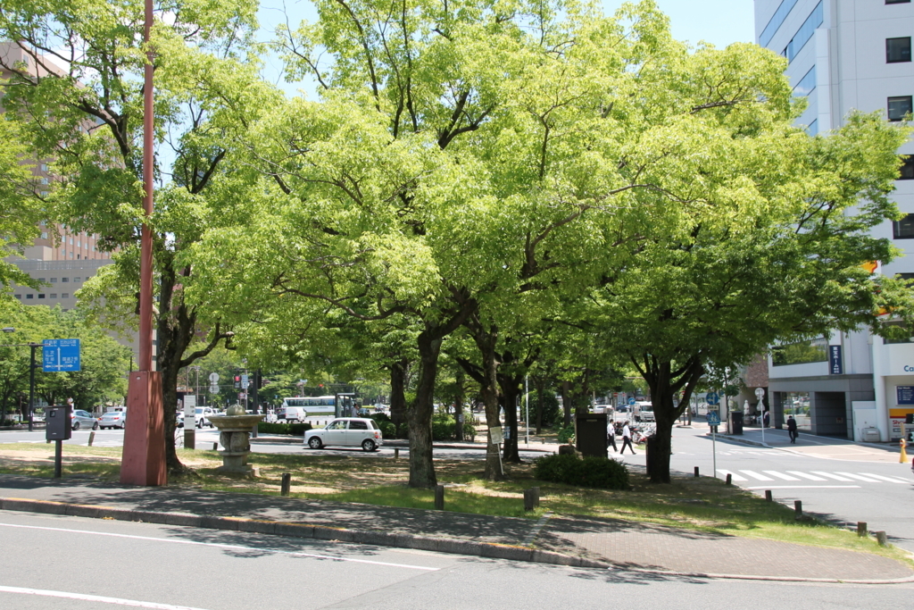 f:id:Tomato-360:20170605124058j:plain f:id:Tomato-360:20170605124058j:plain