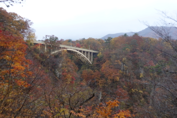 f:id:Tomato-360:20201112020659j:plain