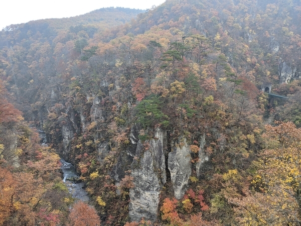 f:id:Tomato-360:20201112021411j:plain