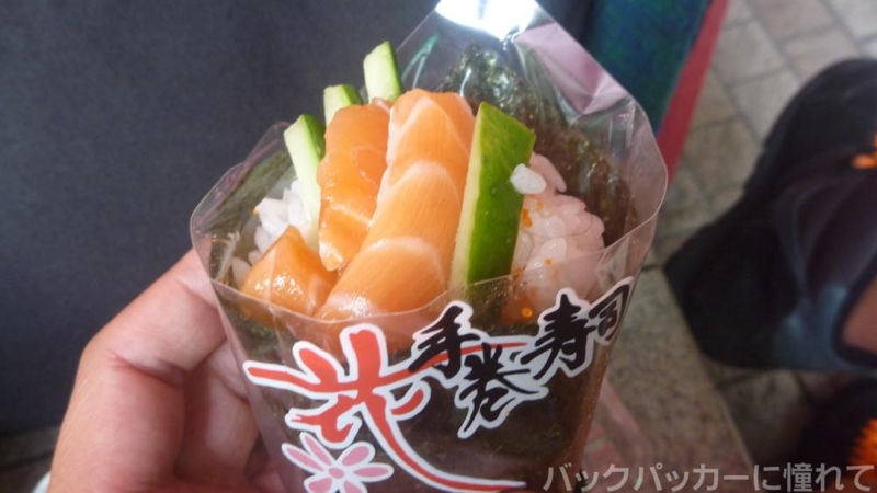 f:id:TommyBackpacker:20150125090749j:plain