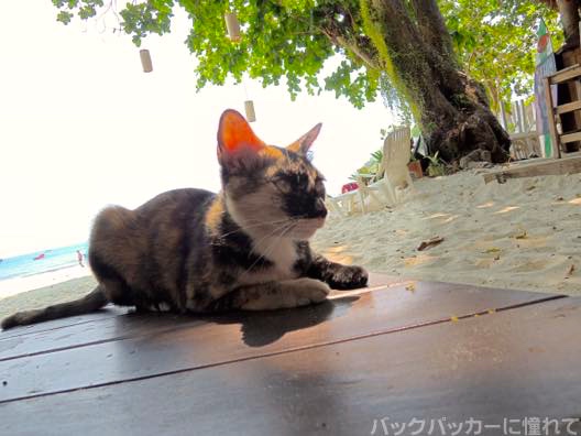 f:id:TommyBackpacker:20150612201937j:plain f:id:TommyBackpacker:20150612201937j:plain