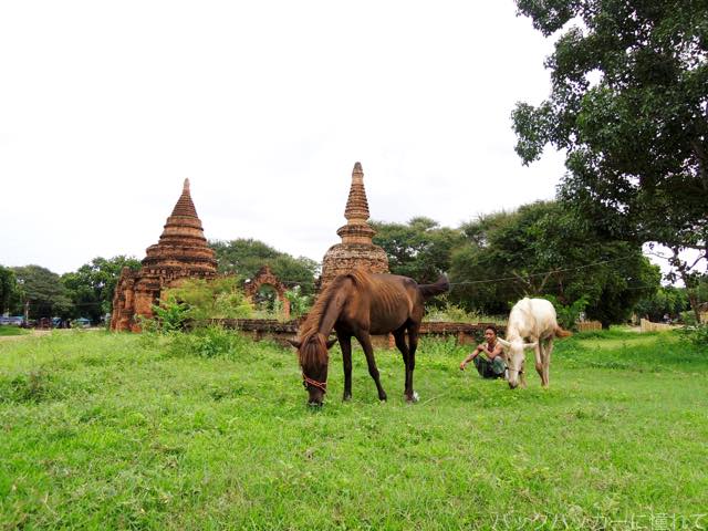 f:id:TommyBackpacker:20161016130256j:plain