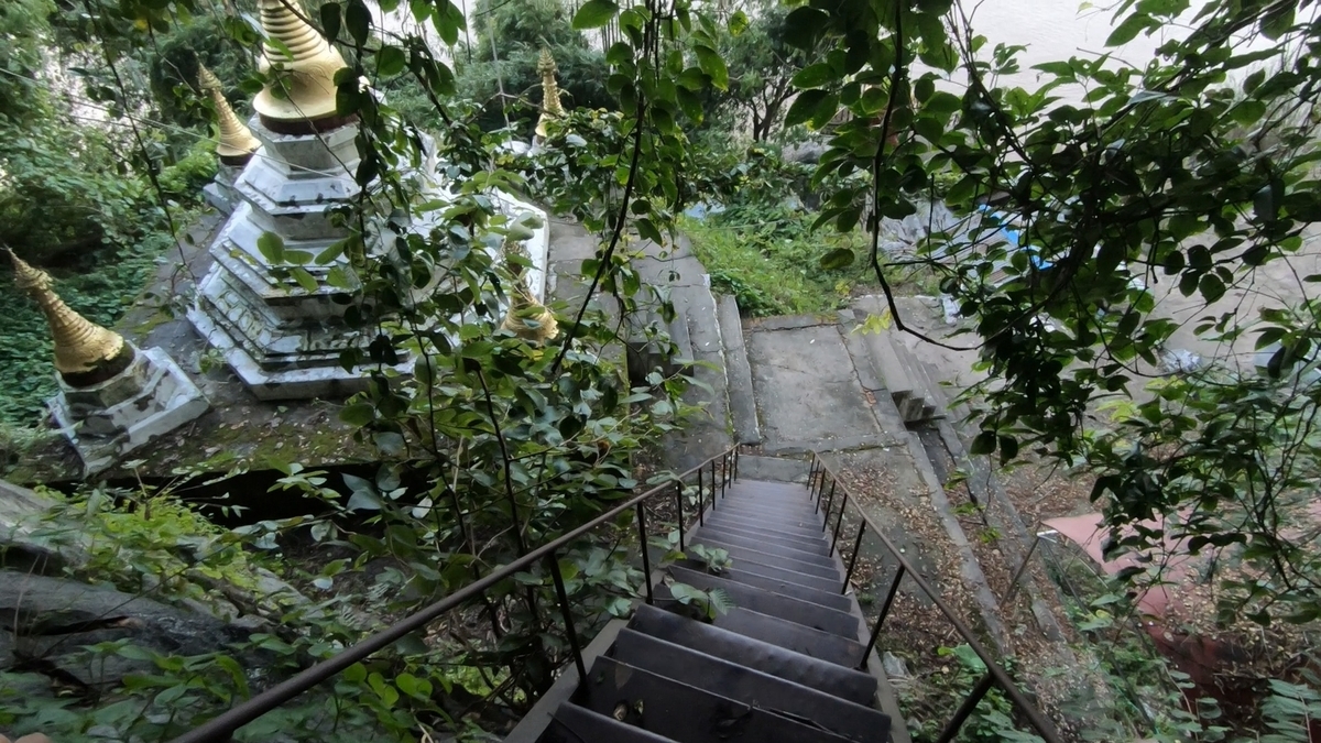 f:id:TommyBackpacker:20200206173844j:plain