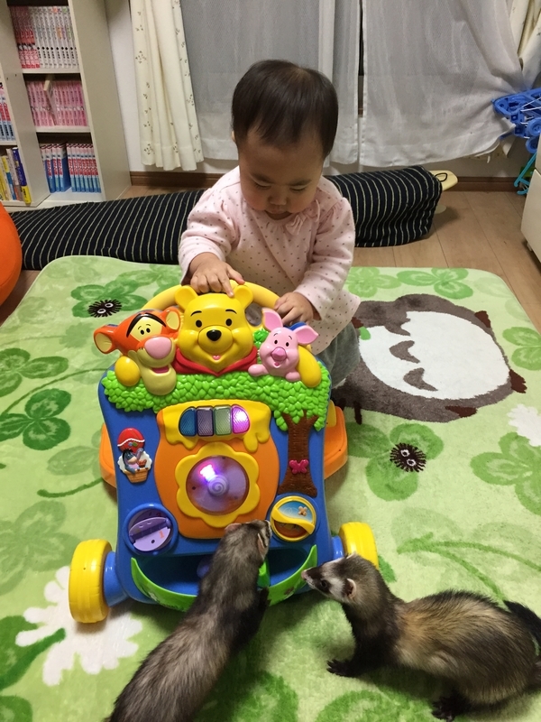 f:id:Tomo41020216:20210509225746j:plain