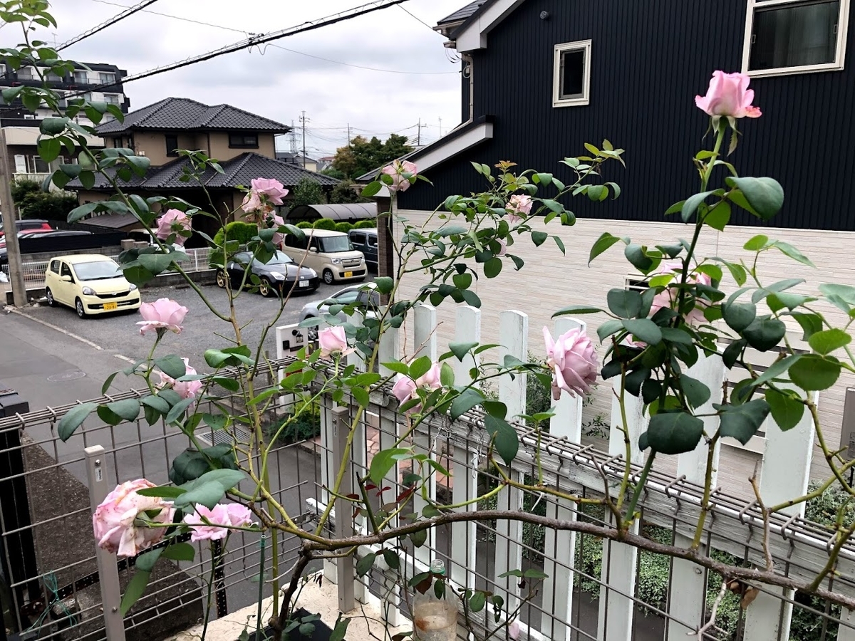 f:id:Tomo41020216:20210706212051j:plain