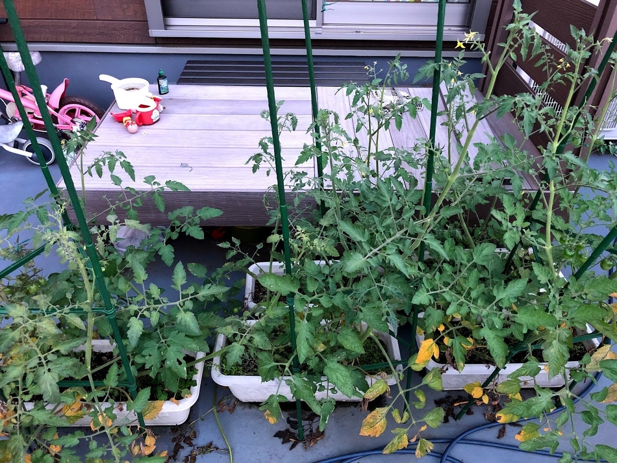 f:id:Tomo41020216:20210716222847j:plain