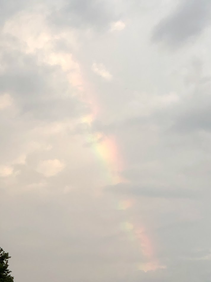 f:id:Tomo41020216:20210731220743j:plain
