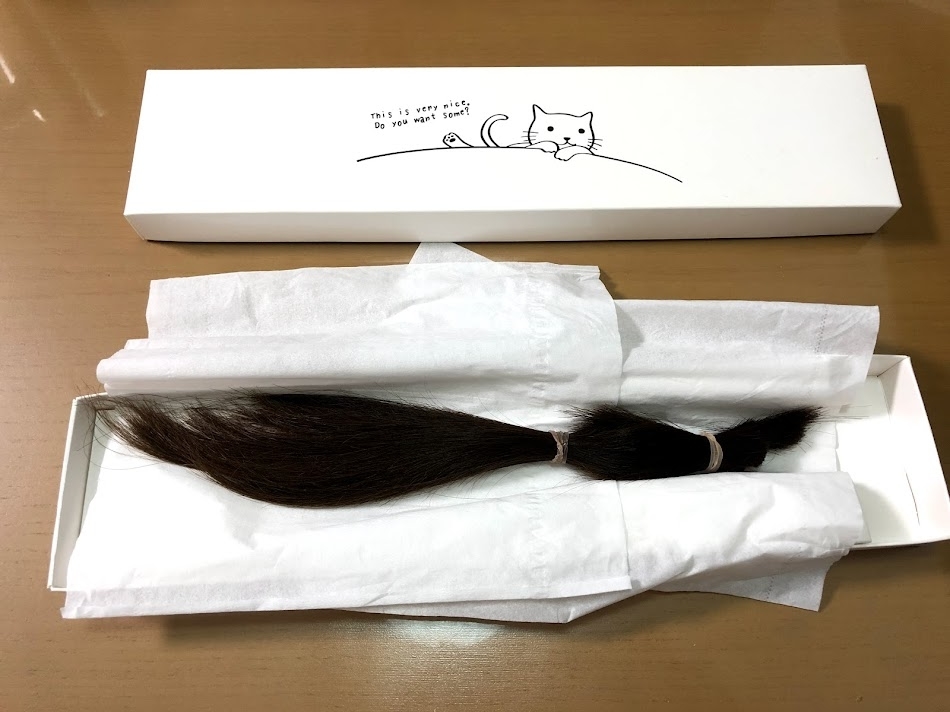 f:id:Tomo41020216:20210812210342j:plain