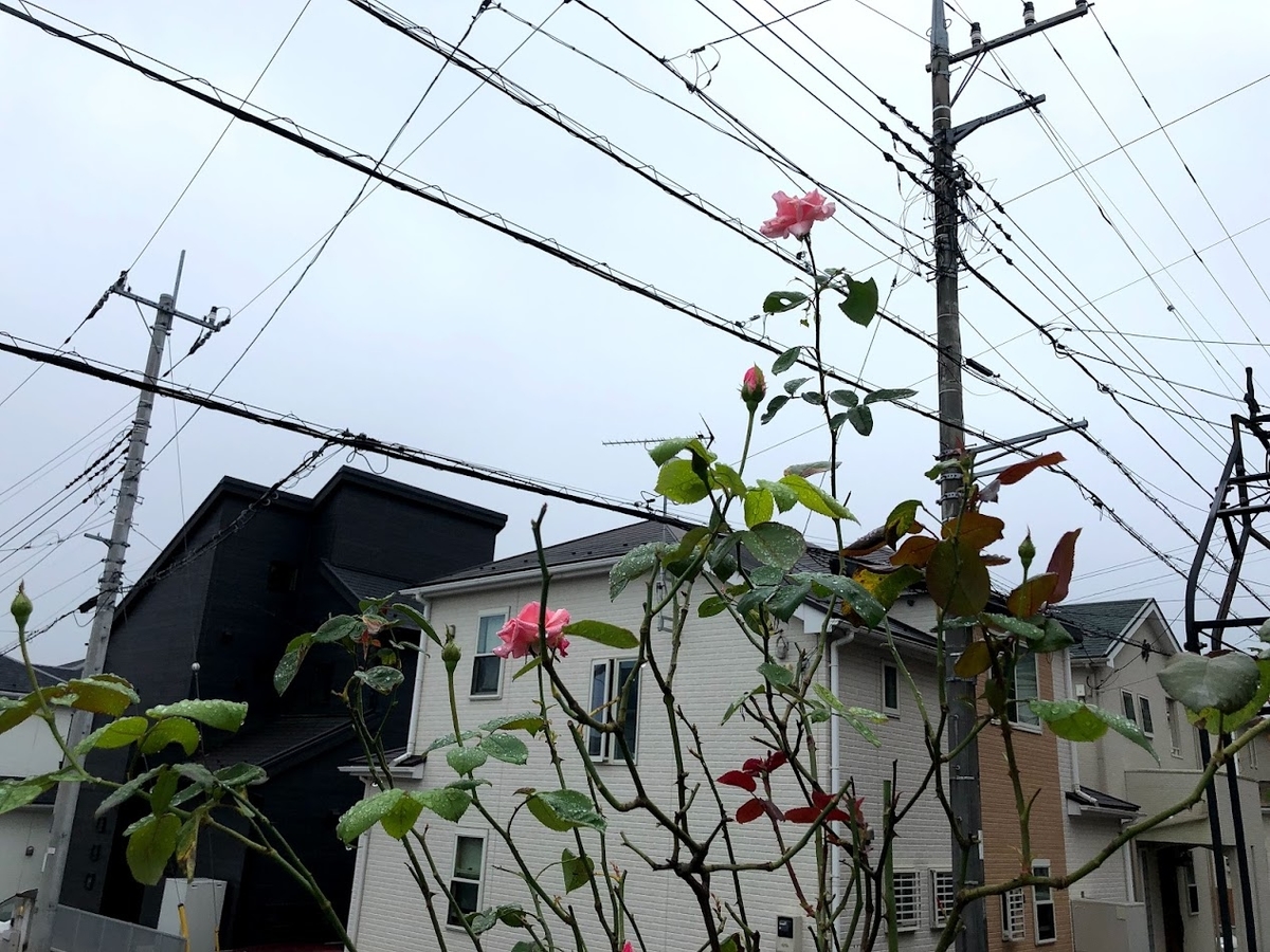 f:id:Tomo41020216:20210911204321j:plain